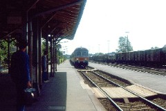 Schleswig, 10. June 1982